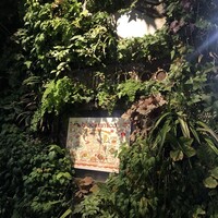 biodinamico - 