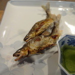 柳家 - 付知川（つけちがわ）天然鮎塩焼き