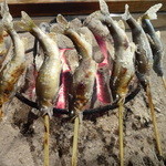 柳家 - 付知川（つけちがわ）天然鮎塩焼き