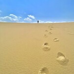 鳥取砂丘にいちばん近いドライブイン砂丘会館 カフェコーナー - 目の前なので鳥取砂丘も登ってみた。ソフトクリーム同様砂まみれになった。強風と砂で髪が爆発したので束ねた上で帽子を被るかフードを極限まで窄めて行くことをお勧めする。