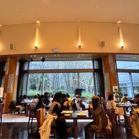 ウルフギャング・パック カフェ 愛知芸術文化センター店 - 解放感のある天井と、窓から見える植栽が四季を感じる