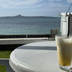 チャハヤブラン - 