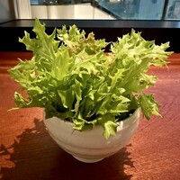 渋谷焼肉 KINTAN - 