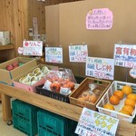 夢みかん - 柿、りんご、シャインマスカットなどフルーツもあり