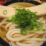 うどん 丸香 - かけうどん＋上天