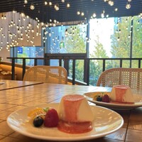 TRATTORIA PIZZERIA 207 渋谷店 - 