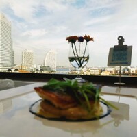 イリエスケープ - 