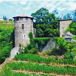 Restaurant La Pyramide - 