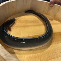 炭焼鰻 寝床 福島店 - 