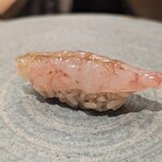 鮨みやもと - ボタンエビ