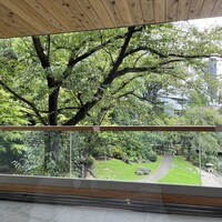 リストランテ 濱崎  - 原宿の真ん中でこの緑！