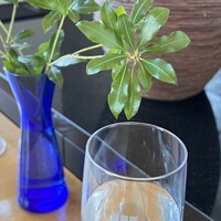 ハルヤマシタ 東京本店 - 