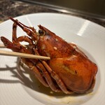 名駅 鉄板焼き 森本Ｘ Premium - 