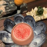 MAZ - 浅瀬（-10 MBSL）