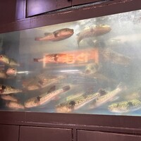 とらふぐ亭 池袋東口店 - 