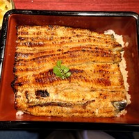 新宿うな鐵 はなれ - 