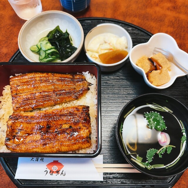 鰻 大蒲2 （冬の大感謝企画！「鰻楽のうなぎ蒲焼き(2尾360g