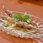 温鮮酒場 ちょんまげ - つきだし