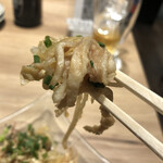 九州料理･焼酎 ひかり屋 - 