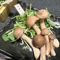 Shangri-La’s secret 表参道店 - 