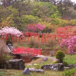 やよい寿司 - おまけ③♪