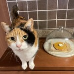 モーニングトン・クレセント東京 - 