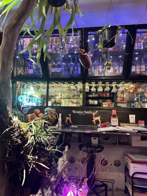 Wonder Smile photo 4