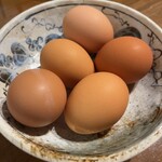居酒屋 岡山農業高校レストラン - ＴＫＧ用生たまご