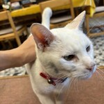 バーベキュー鈴鹿峠 - 