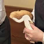 瞬 - こんなどでかい松茸もスライスされてピザへ