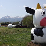 ヤツレン ソフトクリーム売店 - 