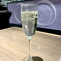 ダルマット 六本木ヒルズ店 - 