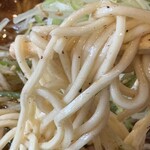 ニボシの恵 - あっさりネギだけらーめん（正油）のストレート細麺