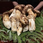 日本料理 TOBIUME - 岩国産の名残の松茸