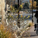 レイドバックバーガー - 