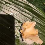 ひょうたん寿司 - 追加のツブ貝