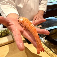 一心鮨 光洋 - 宮崎県産の特大車海老。
