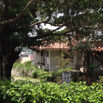 27524422 - 金城石畳道