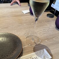 スミレオオサカ -  スミレオオサカ -