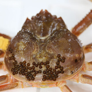 海鮮かに処甲羅亭_2