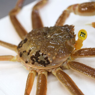 海鮮かに処甲羅亭_1