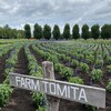 ファーム富田