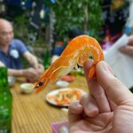 古早味日式料理　和田 - 