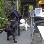 エビスエスクラッシコ - 最初のゲスト到着です