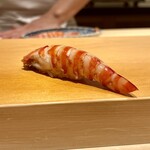 鮨 はしもと - 車海老　大きめで旨味たっぷり