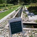 ロングパリッシュ／エシカルカフェ - カウンター席から見えるお庭です