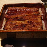うなぎ 目白ぞろ芽 - 