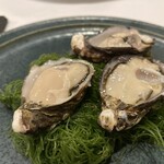 レストラン・サカキ - 前菜一品目　兵庫県相生産生牡蠣3個（前回の方が大きかったが美味しい）