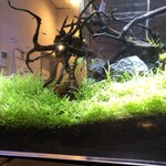 カフェ・ド・フェロー - 