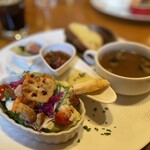 赤いトタン屋根の猫 - 